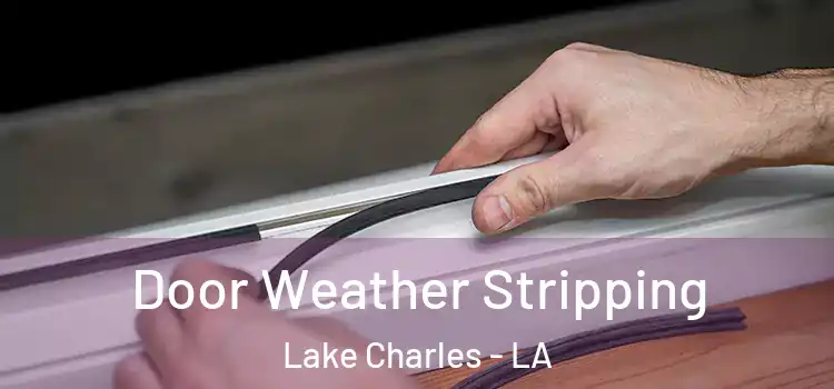  Door Weather Stripping Lake Charles - LA