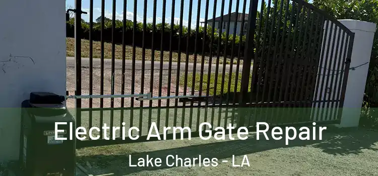  Electric Arm Gate Repair Lake Charles - LA