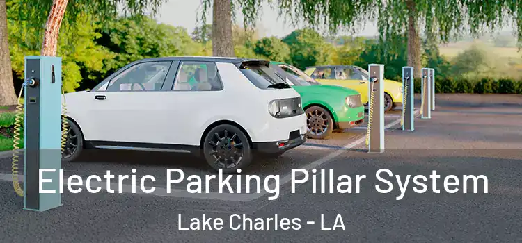  Electric Parking Pillar System Lake Charles - LA