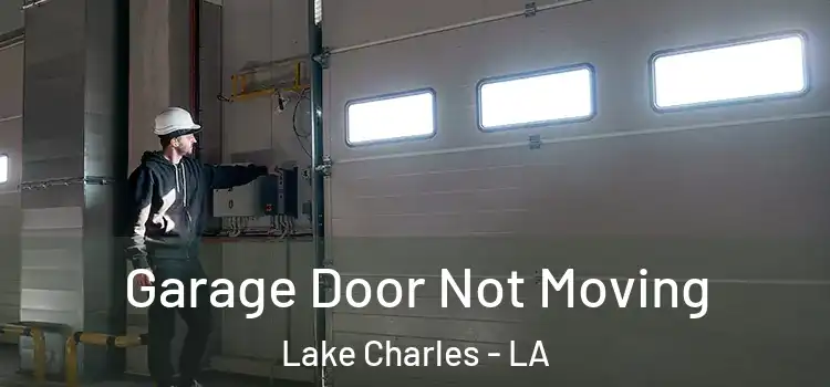  Garage Door Not Moving Lake Charles - LA