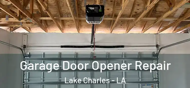  Garage Door Opener Repair Lake Charles - LA