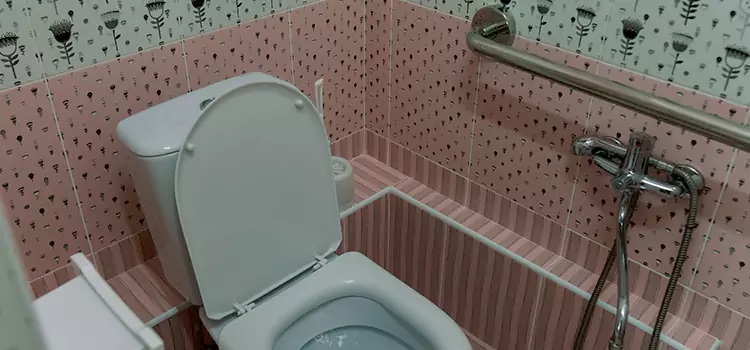 Meeting Diverse Needs With Accessible Restroom Solutions in Lake Charles, LA