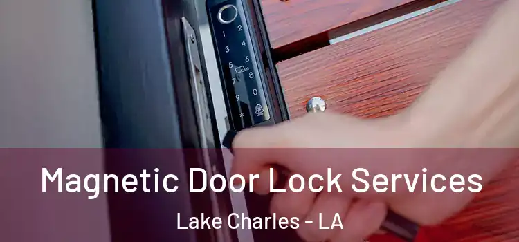 Magnetic Door Lock Services Lake Charles - LA